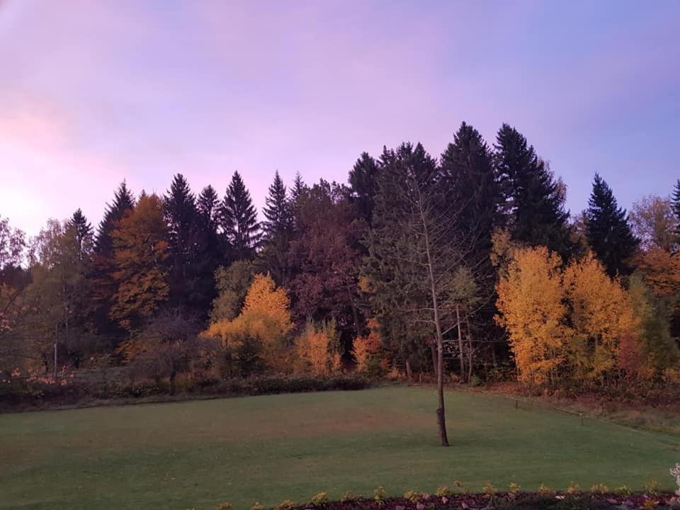 Pokoje Goscinne Art- Dworek Kudowa-Zdrój Kültér fotó