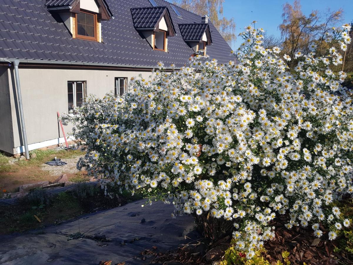 Pokoje Goscinne Art- Dworek Kudowa-Zdrój Kültér fotó
