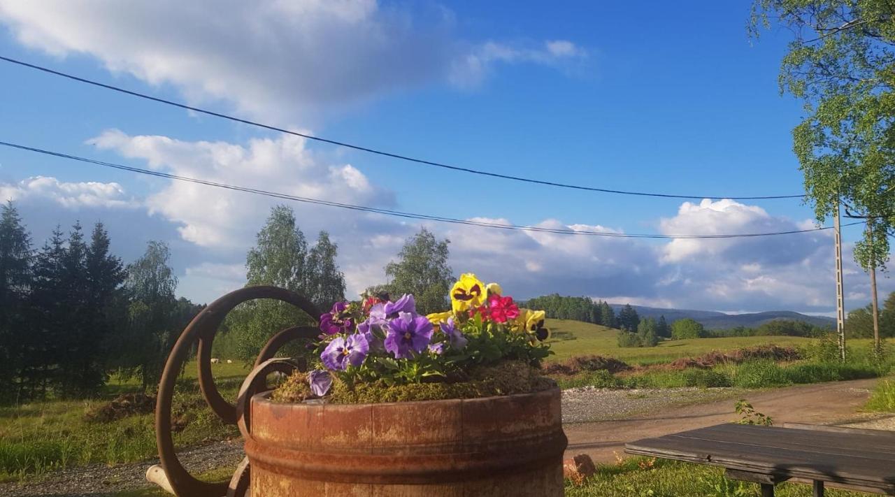 Pokoje Goscinne Art- Dworek Kudowa-Zdrój Kültér fotó