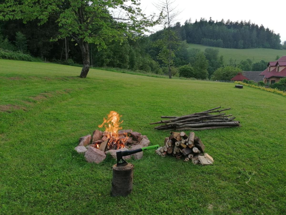 Pokoje Goscinne Art- Dworek Kudowa-Zdrój Kültér fotó
