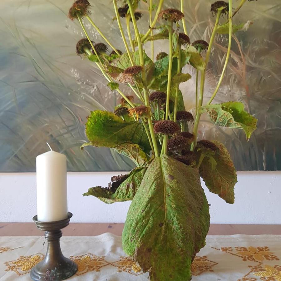 Pokoje Goscinne Art- Dworek Kudowa-Zdrój Kültér fotó